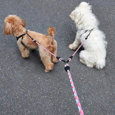 Laisse double pour chien vu devant rose