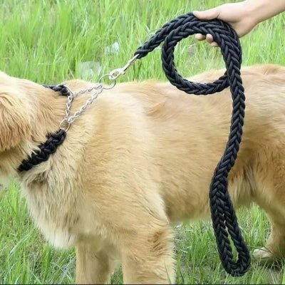 Laisse pour chien Robusta Lab mousqueton