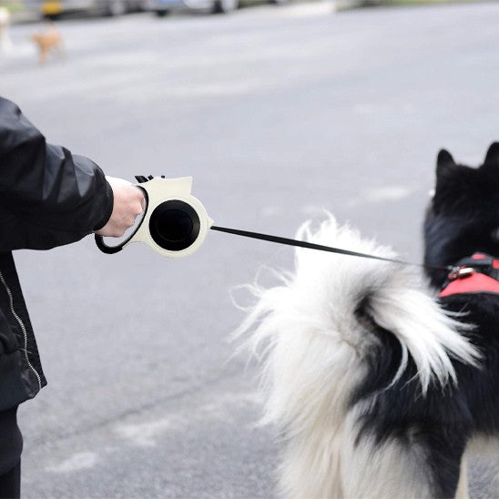 Une laisse de chien Eka Husky en balade avec la laisse blanche