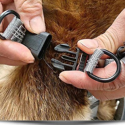 harnais chien easyclip demonstration