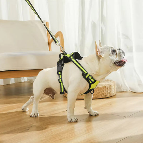 harnais chien walkerdog debout jaune