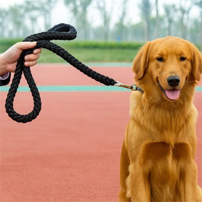 Laisse pour chien Robusta lab assis noir