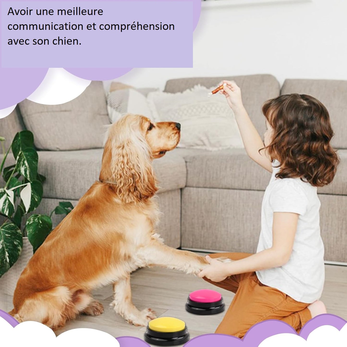 Communication Chien-Maitre Optimisée, Entrainement Facilité | Dog Buzzer™