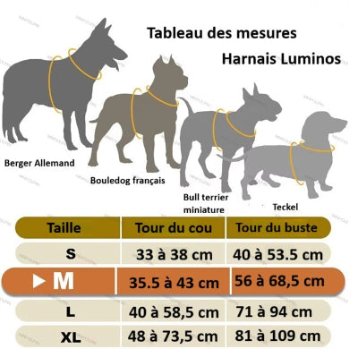 Chien harnais Luminos tableau des mesures