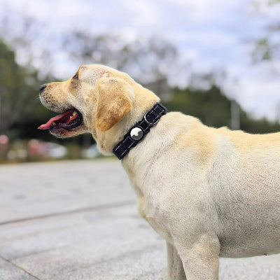 Collier chien Tracker Lab noir