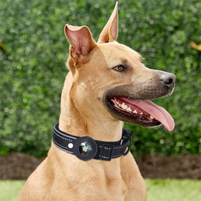 Collier chien Tracker noir