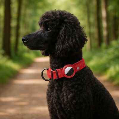 Collier chien Tracker rouge caniche assis