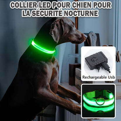 Collier chien flash vert