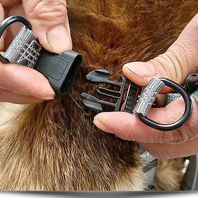 Harnais chien Easyclip démonstration pour clipper le harnais