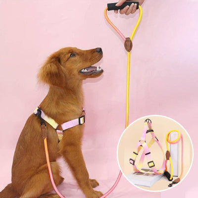 Harnais chien coloris jaune pastille