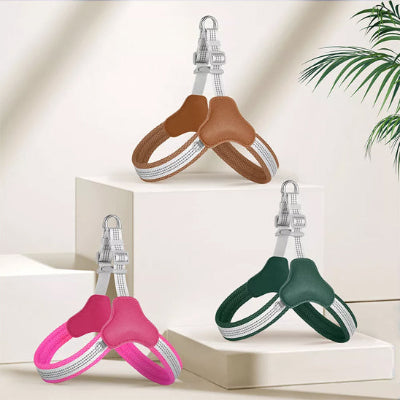 Harnais-chien-Pilou-démonstration-des-3-modèles-de-couleurs