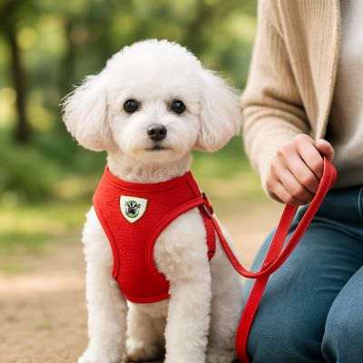 Harnais pour chien Abbye rouge