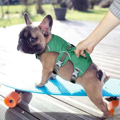 Harnais pour chien Willow Bouledogue avec un harnais vert sur un skateboard 