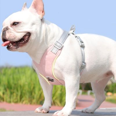 Harnais pour chien Xénax Bouledogue blanc debout sur une table avec le harnais rose