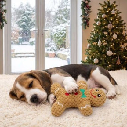 Jouet chien indestructible Biscuit Beagle dormant avec le biscuit