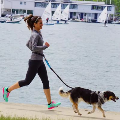 Laisse canicross Bungee Border Collie courant avec sa maîtresse sur le bord du lac avec la laisse bleue