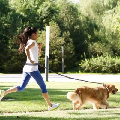 Laisse canicross Bungee Golden en train de faire du jogging avec sa maîtresse avec la laisse jaune