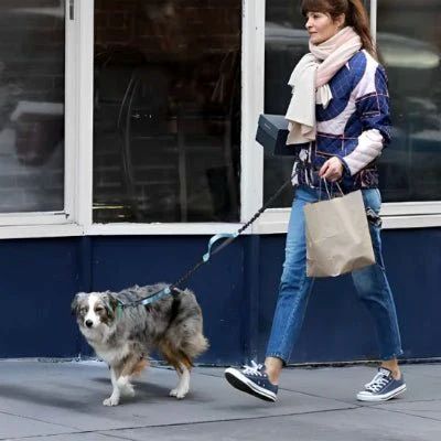 Laisse canicross Bungee Border Collie marchant en ville avec sa maîtresse faisant ses courses