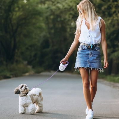 Laisse chien Roulain Shih Tzu marchant avec sa maîtresse dans un parc avec la laisse violette