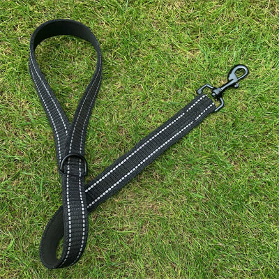 Laisse chien Shorty démonstration du modèle sur la pelouse
