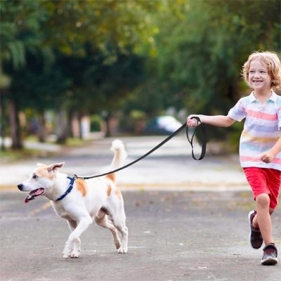 Laisse de chien Paro Un enfant tenant la laisse noire de son chien 