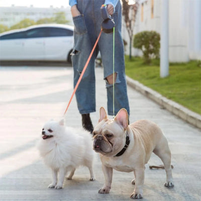 Laisse double pour chien Twin deux chiens avec leur maître dans un stationnement