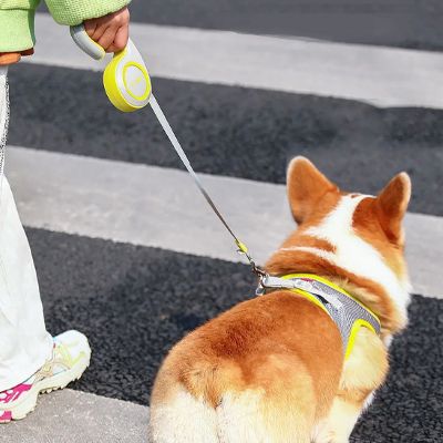 Laisse pour chien Enrouleur Corgi traversant la rue avec la laisse jaune