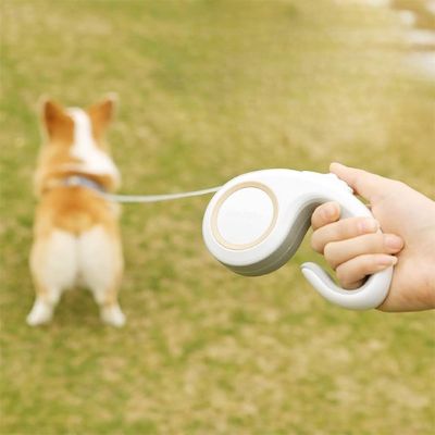 Laisse pour chien Enrouleur blanc