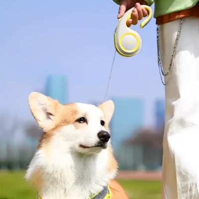 Laisse pour chien Enrouleur Corgi assis montrant la poignée jaune
