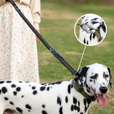 Laisse pour chien Flexi attache
