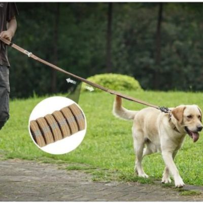 Laisse pour chien Flexi promenade