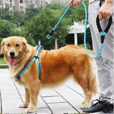 Laisse pour chien Spirilou bleu