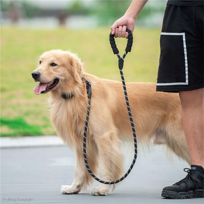 Laisse pour chien Spirilou Labrador debout à côté de son maître avec la laisse noire