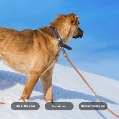 Longe chien Évasion Boerbull marchant dans la neige longe brun