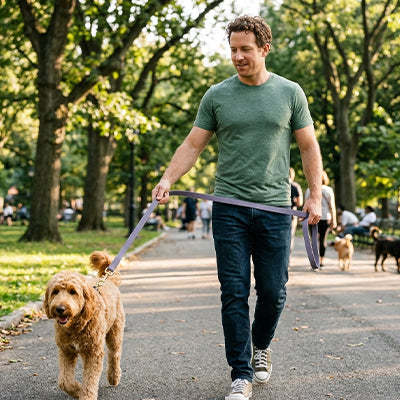 Longe chien Fila Homme promenant son chien avec longe grise
