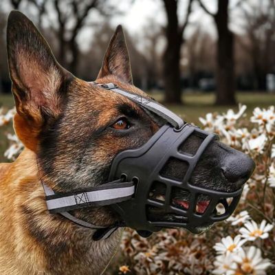 Muselière chien Shielding Berger Allemand montrant la muselière de près sur son museau