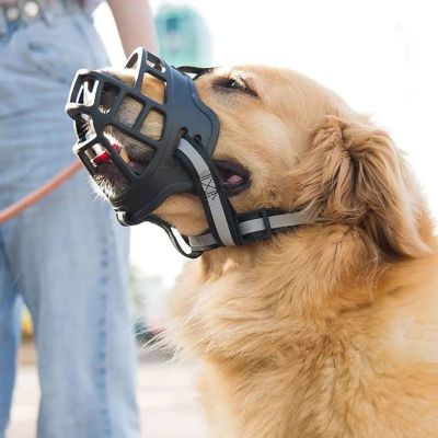 Muselière chien Shielding Labrador montrant la facilité de respirer avec la muselière