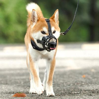 Muselière chien Shielding Shiba Inu marchant avec la muselière noire