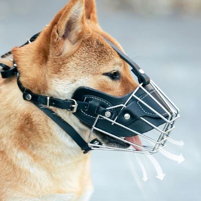 Muselière Proteck Shiba Inu respirant avec la muselière
