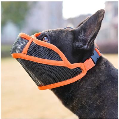 Muselière bouledogue français Bastion un Pug avec une muselière orange