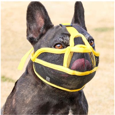 Muselière bouledogue français Bastion un chien avec une muselière jaune