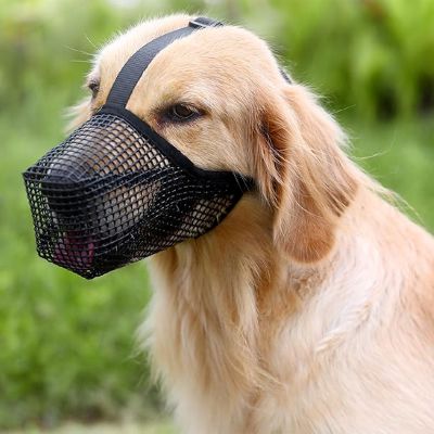 Muselière chien Net Pet Labrador assis avec la muselière noire dans un parc