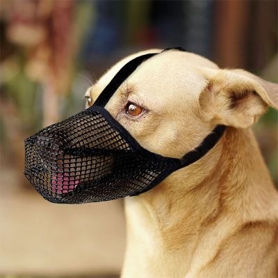 Muselière chien Net Pet Labrador mixte avec la muselière noire de près