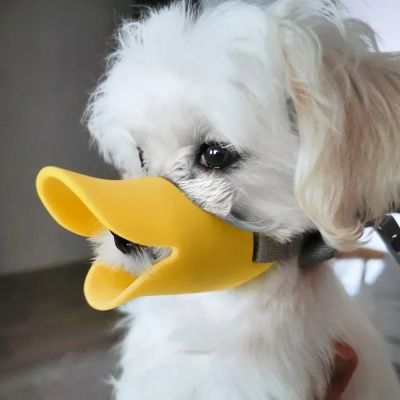Muselière chien Pet Duck Bichon blanc avec la muselière jaune