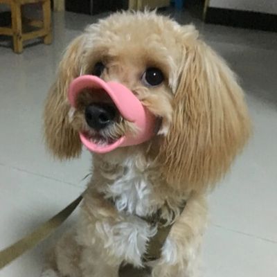 Muselière chien Pet Duck Caniche assis avec la muselière rose