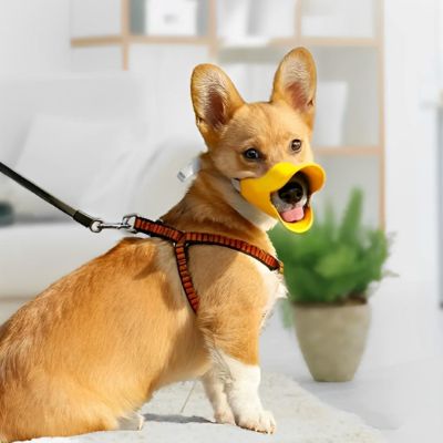 Muselière chien Pet Duck Corgi assis tirant la langue avec la muselière jaune