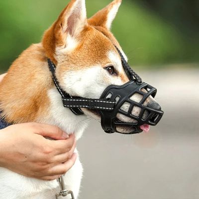 Muselière chien Shielding Shiba Inu assis de côté avec muselière noire