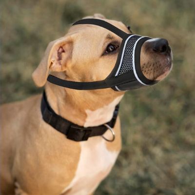 Muselière pour chien Muzzle American Staffordshire Terrier assis avec la muselière-noire