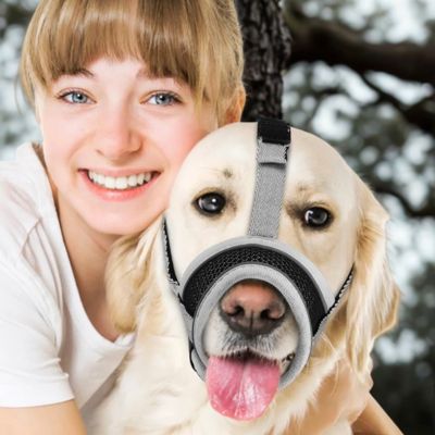 Muselière-pour-chien-Muzzle-Golden-avec-la-muselière-grise-recevant-un-câlin-de-sa-maîtresse