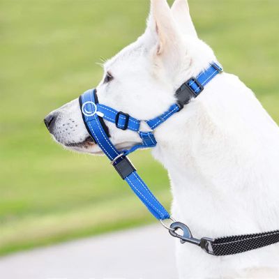 Muselière pour chien Nixon Berger blanc avec muselière bleue vue de côté